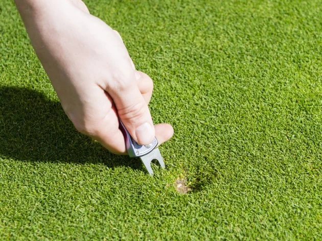 Pitchmarks 