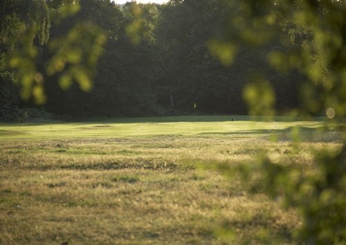 Wimbledon Common Restoration
