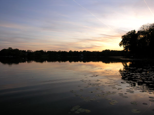 CordleyOctSunsetLillyPads.jpg