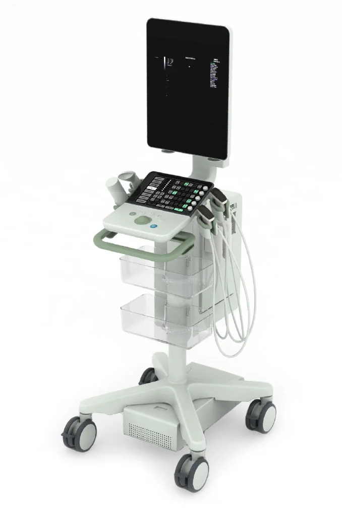 Future of Emergency ultrasound