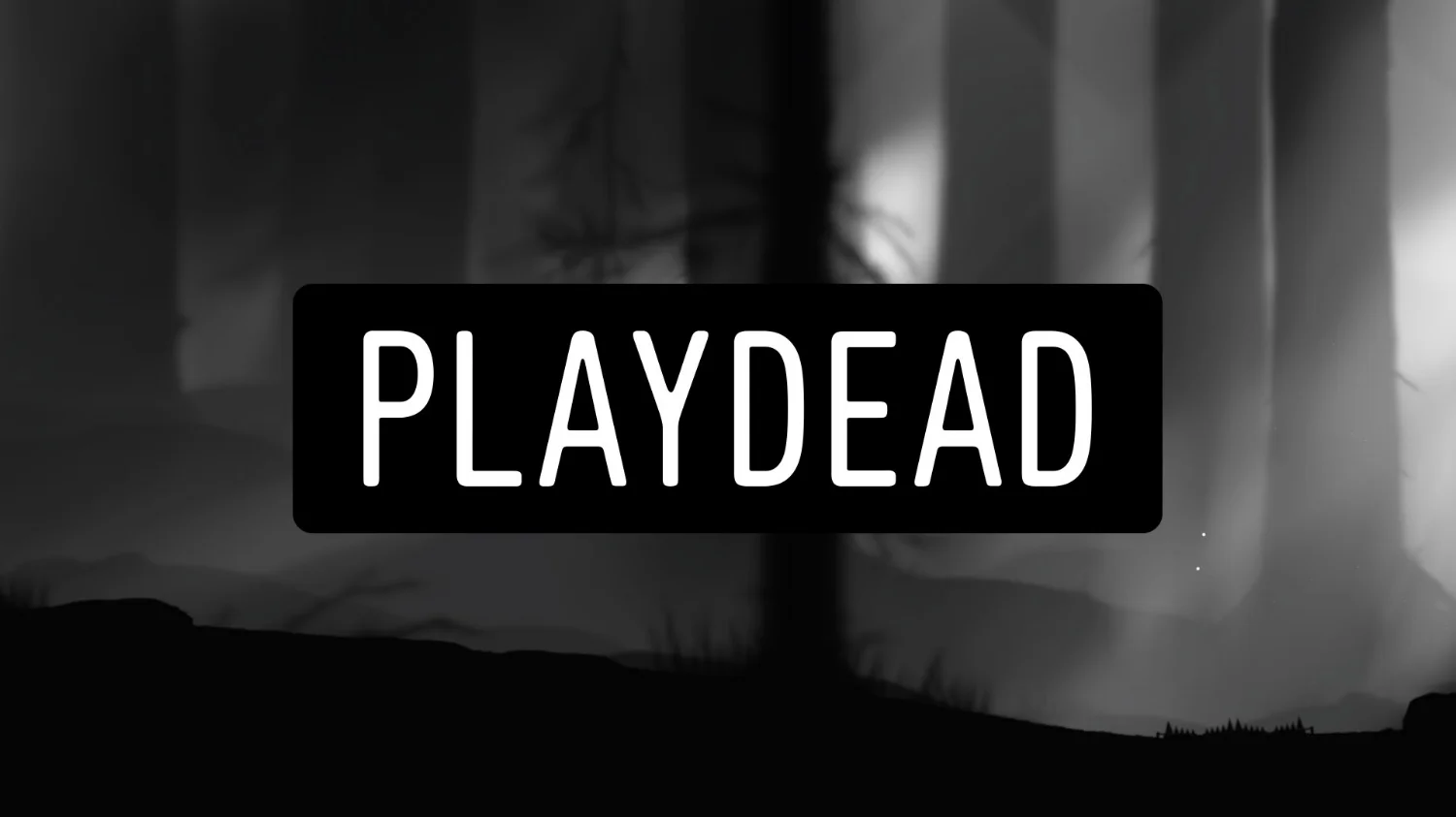 PD2_9.jpg