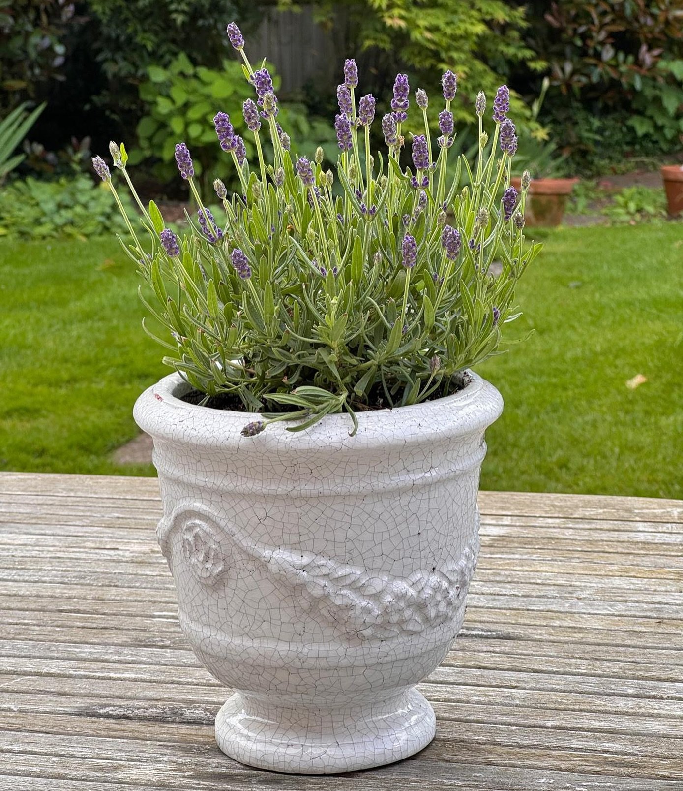 We have put a few new pots and vases onto our website. This beautiful crackled effect urn has been a big favourite with only a few left in stock&hellip;! (Don&rsquo;t worry, more are on their way!) 

#pots #potsandplants #potsandvases #vases #flowers
