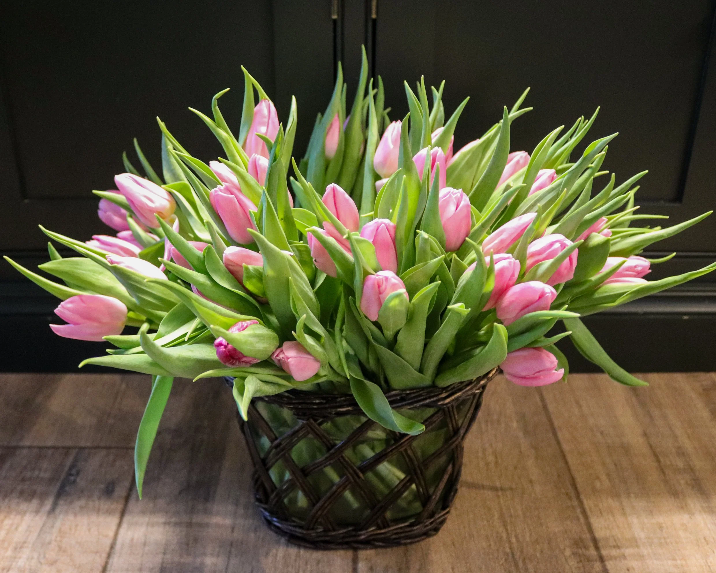 simple pink tulips
