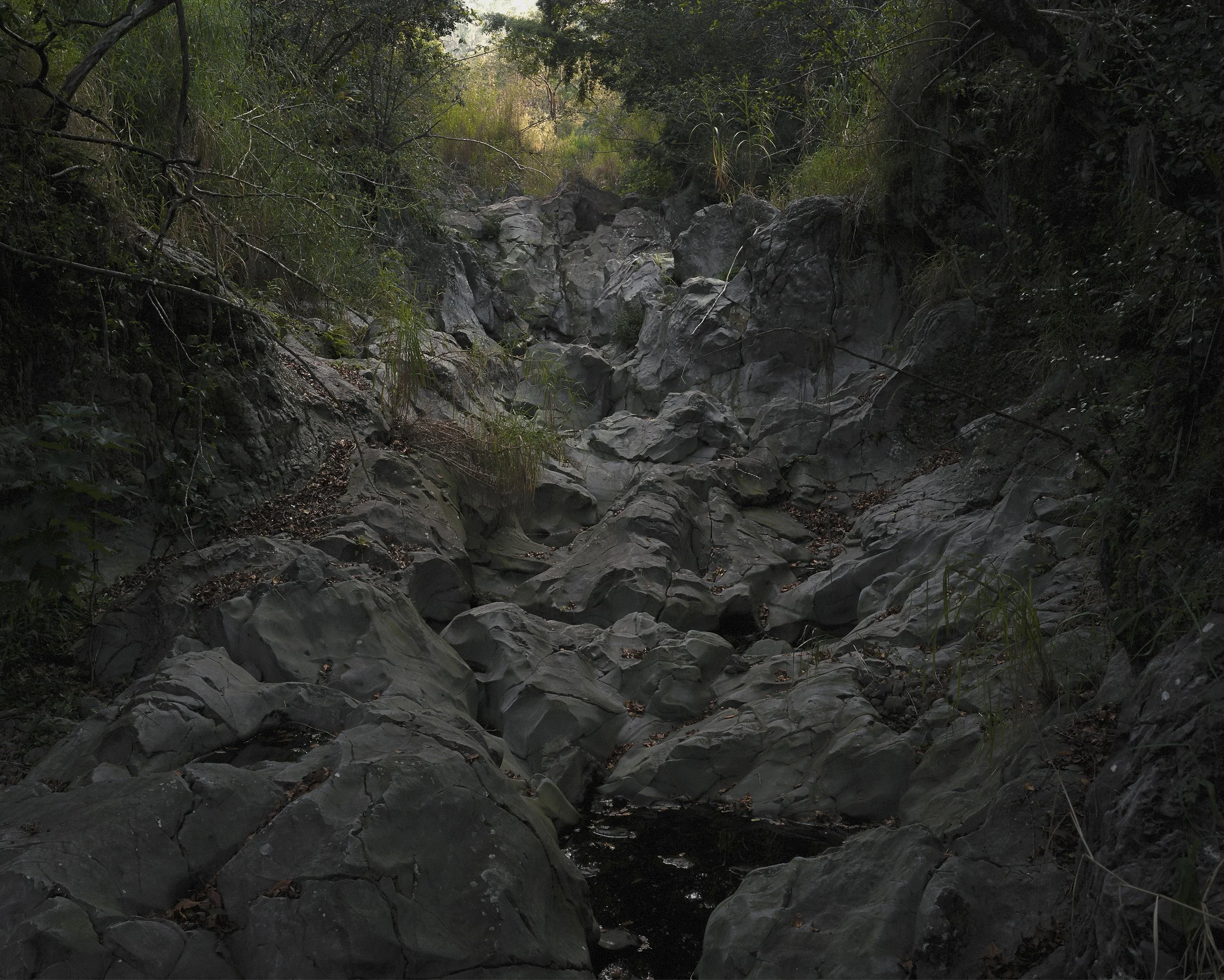 2 - PROLOGUE TO THE NIGHT WORLD.2 16x20 with title.jpg