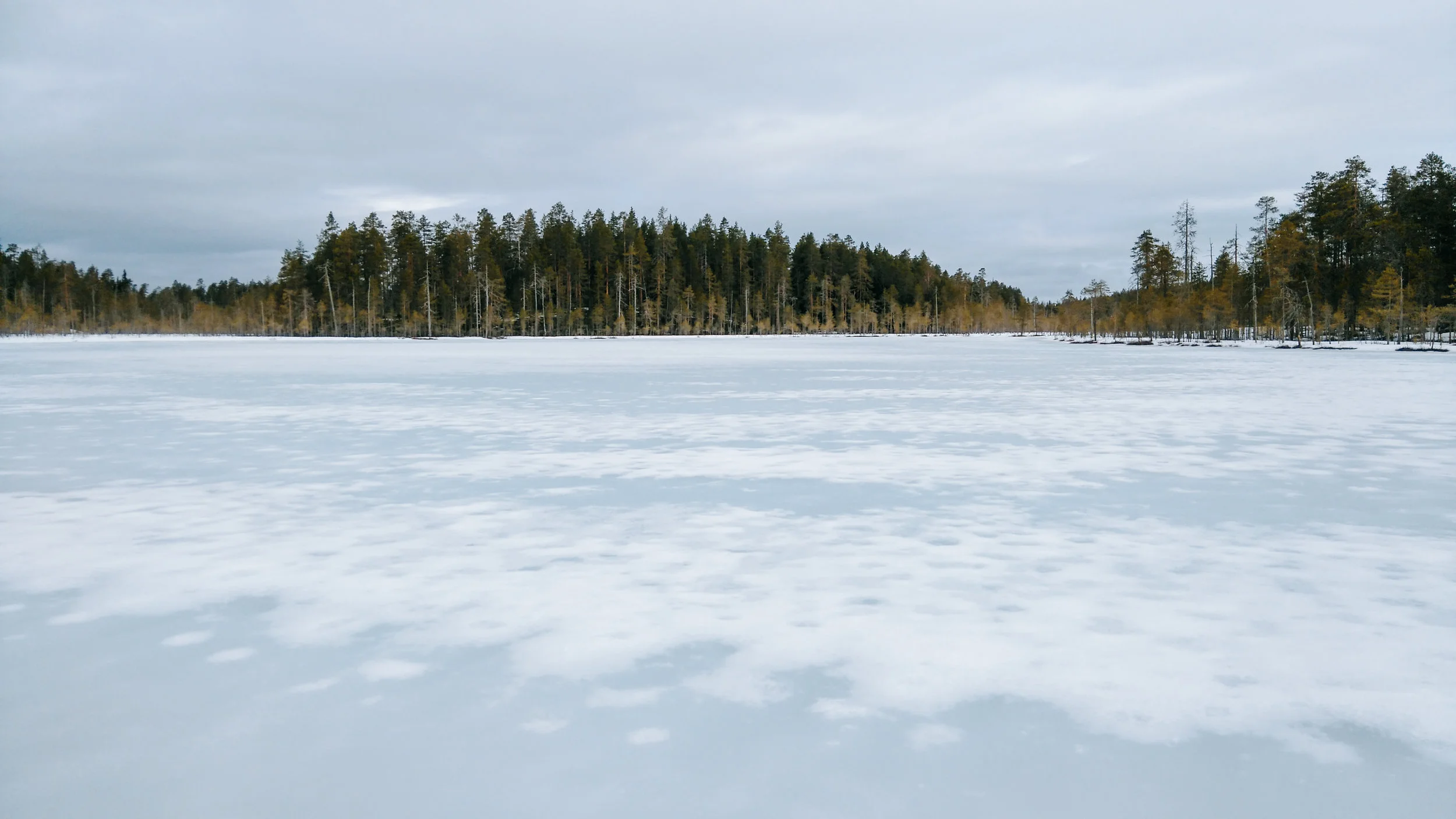 DSC_0007-2.jpg