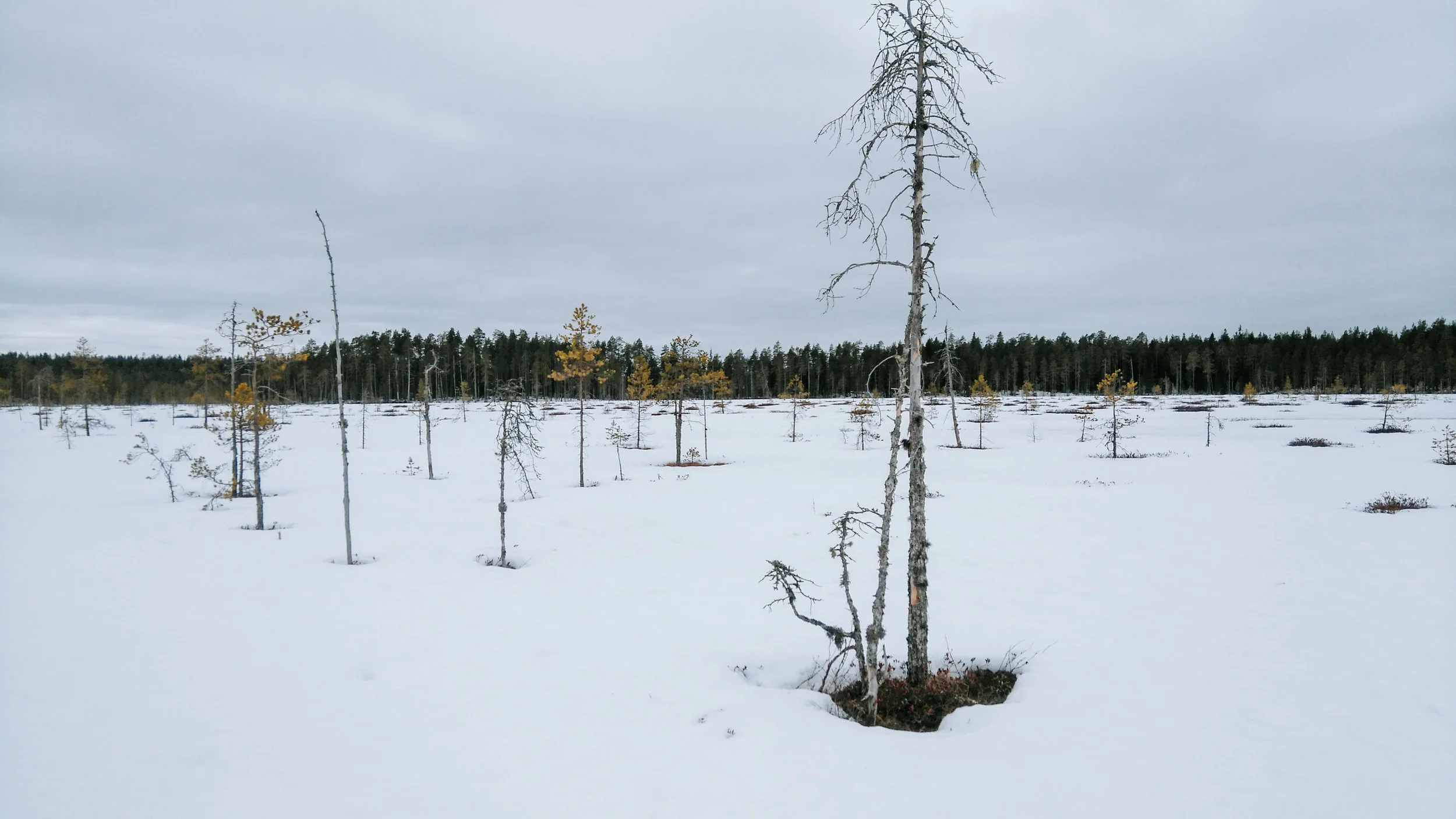 DSC_0010-2.jpg