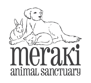 Meraki Logo 9.27.17-01.png