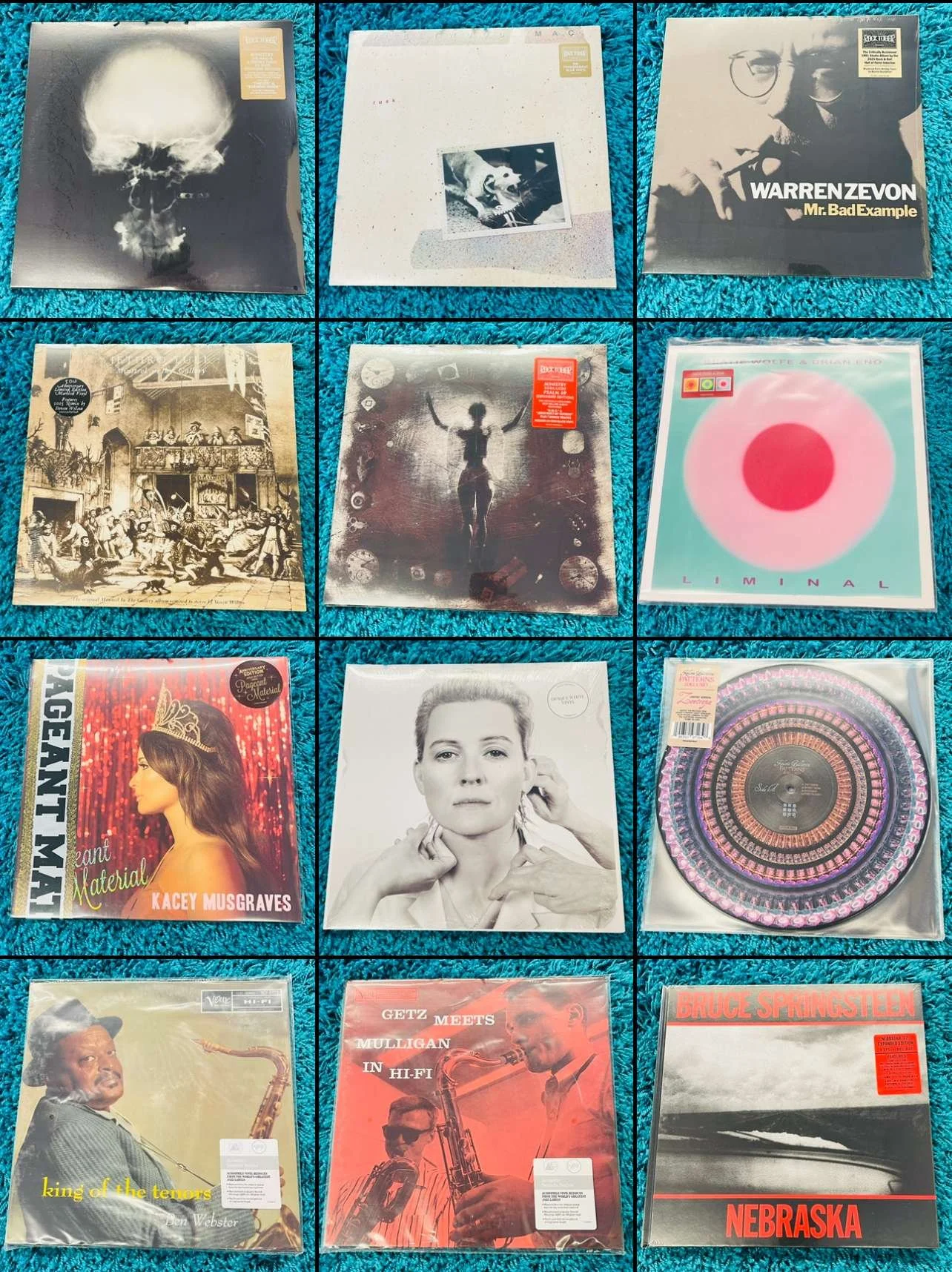 Friday (10/24) New Arrivals!  Part 1 of 2!  Let us know what we can put on hold for you!  Ministry, Fleetwood Mac, Warren Zevon, Jethro Tull, Brian Eno, Kacey Musgraves, Brandi Carlile, Kelsea Ballerini (Double Zoetrope Picture Disc!), Ben Webster (V
