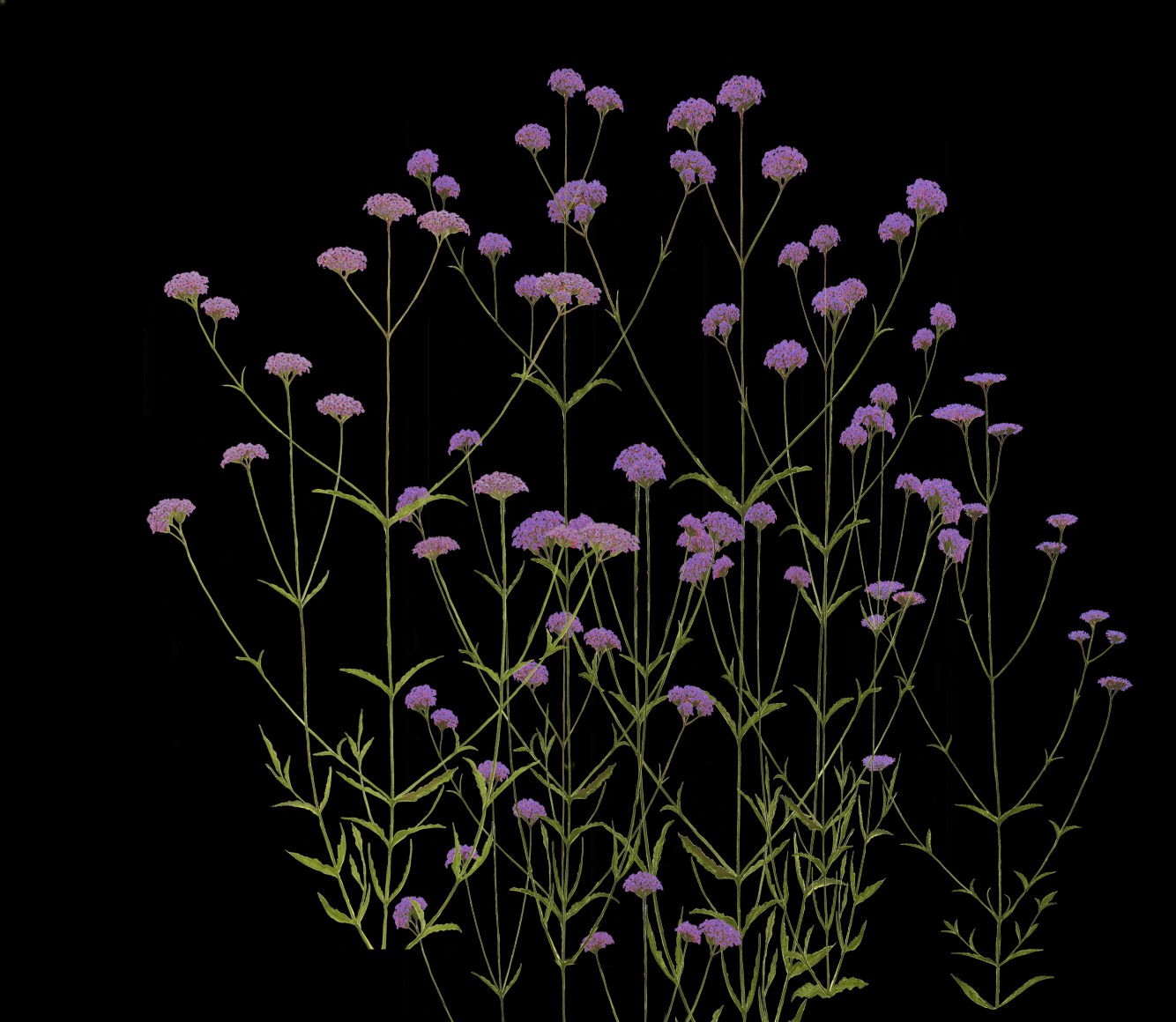 Screenshot 2019-03-03 at 18.18.43.png
