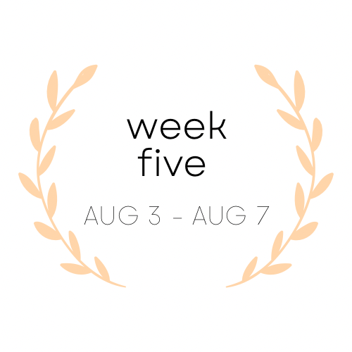 Brand Fashion - 5.png