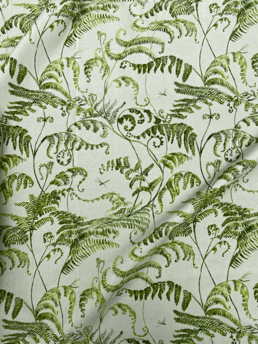 Botanical fern design on sage green background — Katy Botanicals