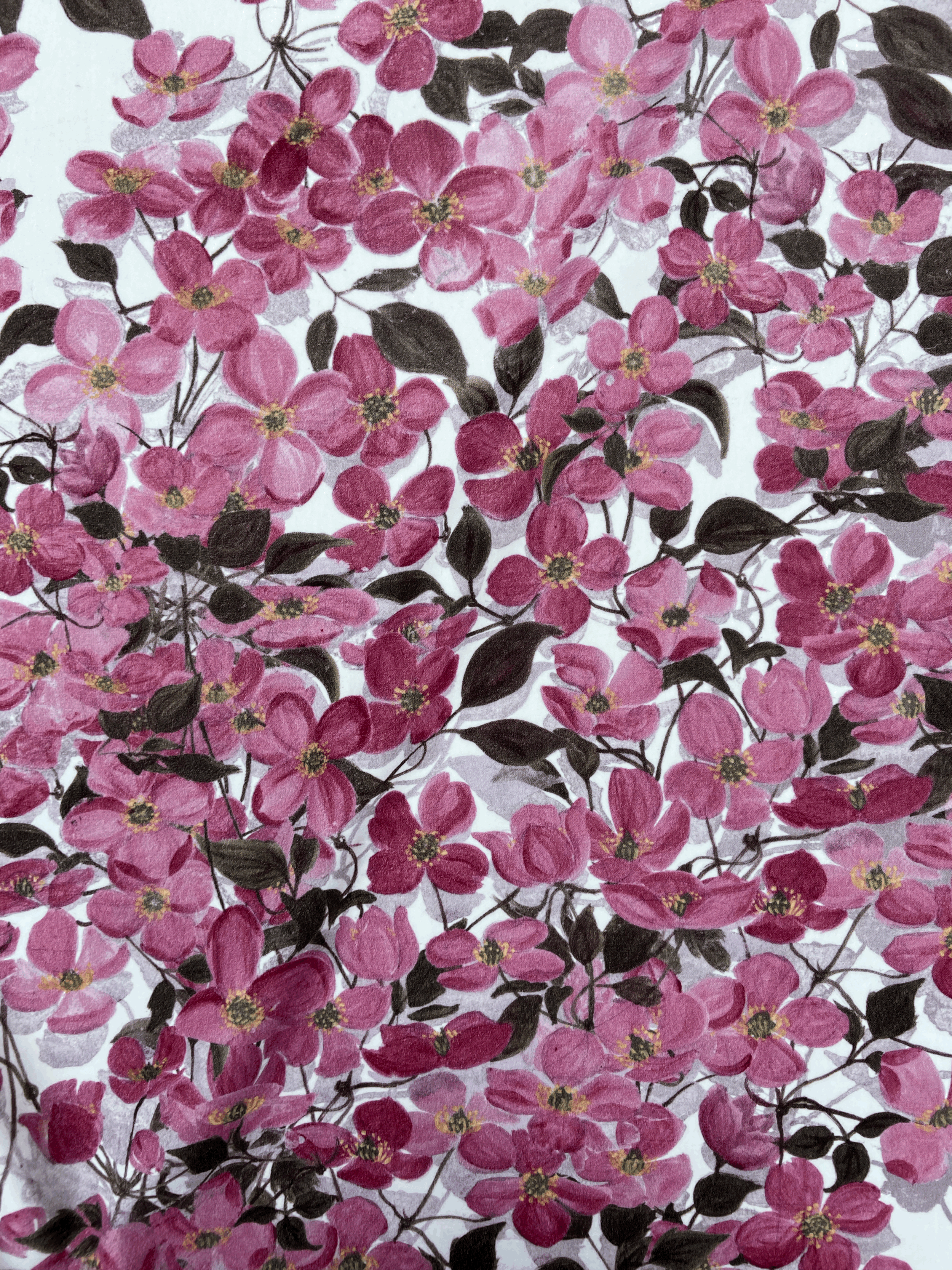 Pink clematis montana print, hand painted by Katy McIntyre Brown