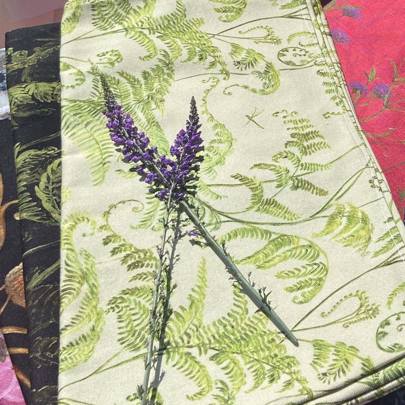 Green fern leaf table cloth on sage green background