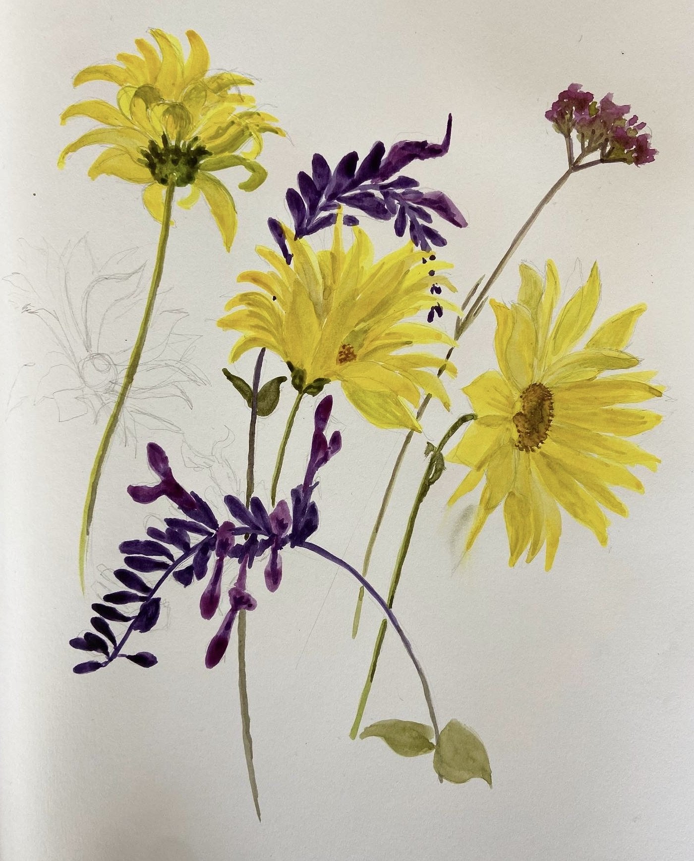 Autumn Botanical painting workshop