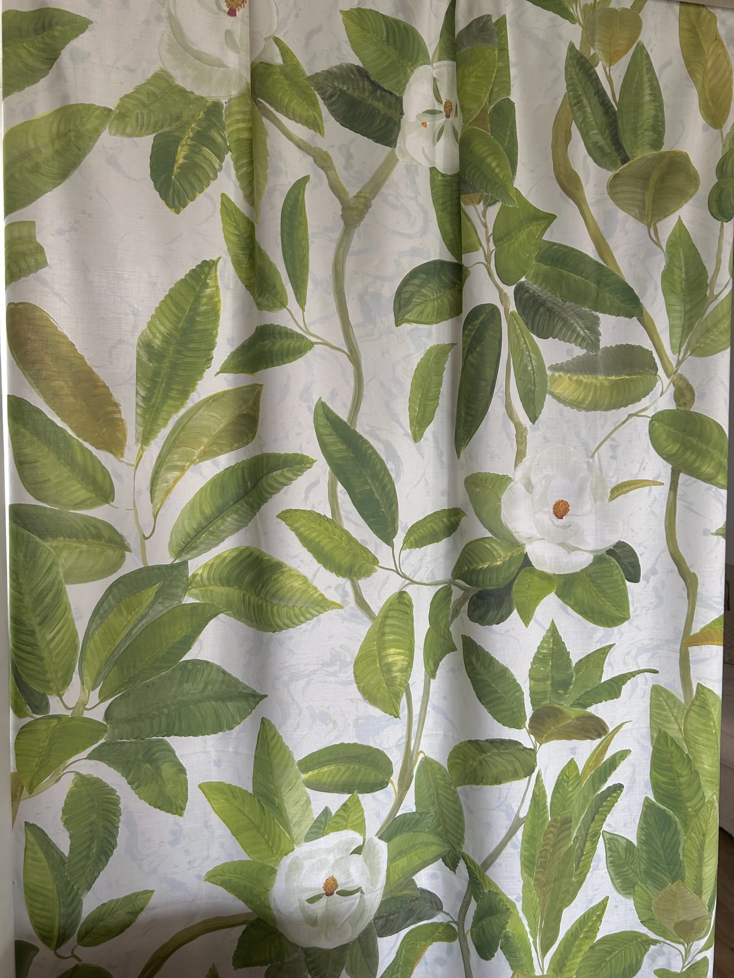 Magnolia Grandiflora