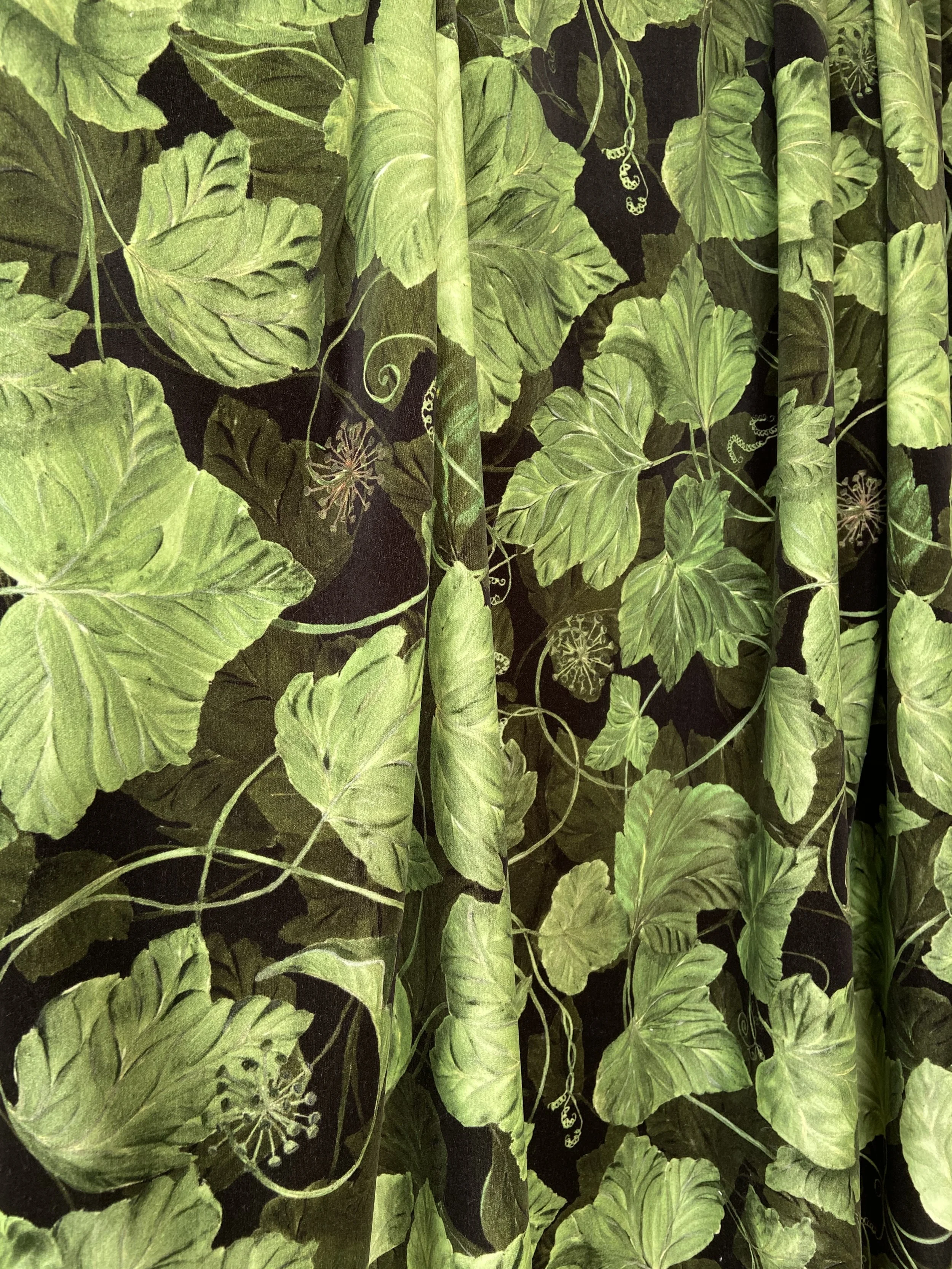Hand painted ivy design printed onto natural ecological furnishing fabric.  A bold botanical design on a black background, good for restaurants, hotels, kitchens and soft furnishings.