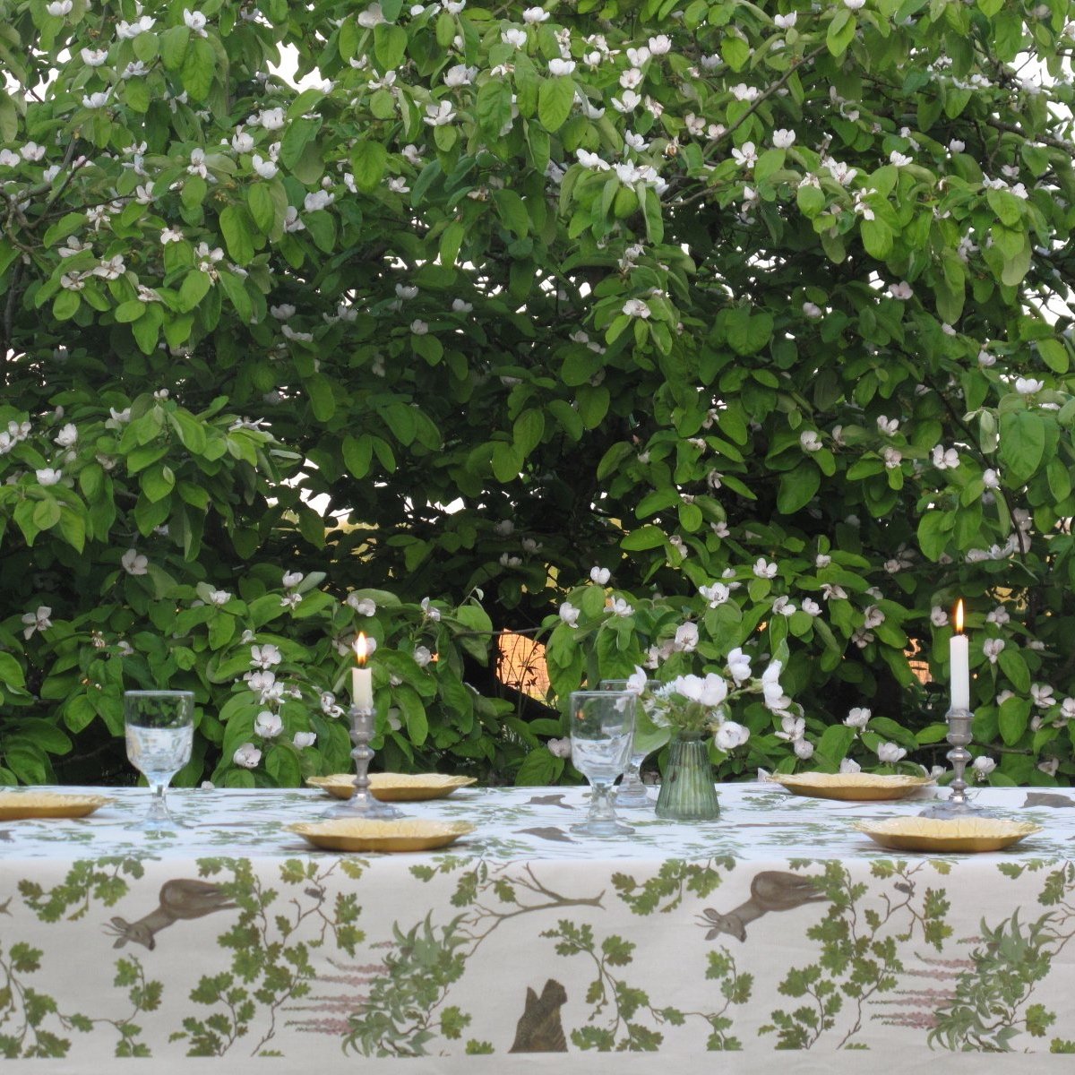 IMG_0065.jpg