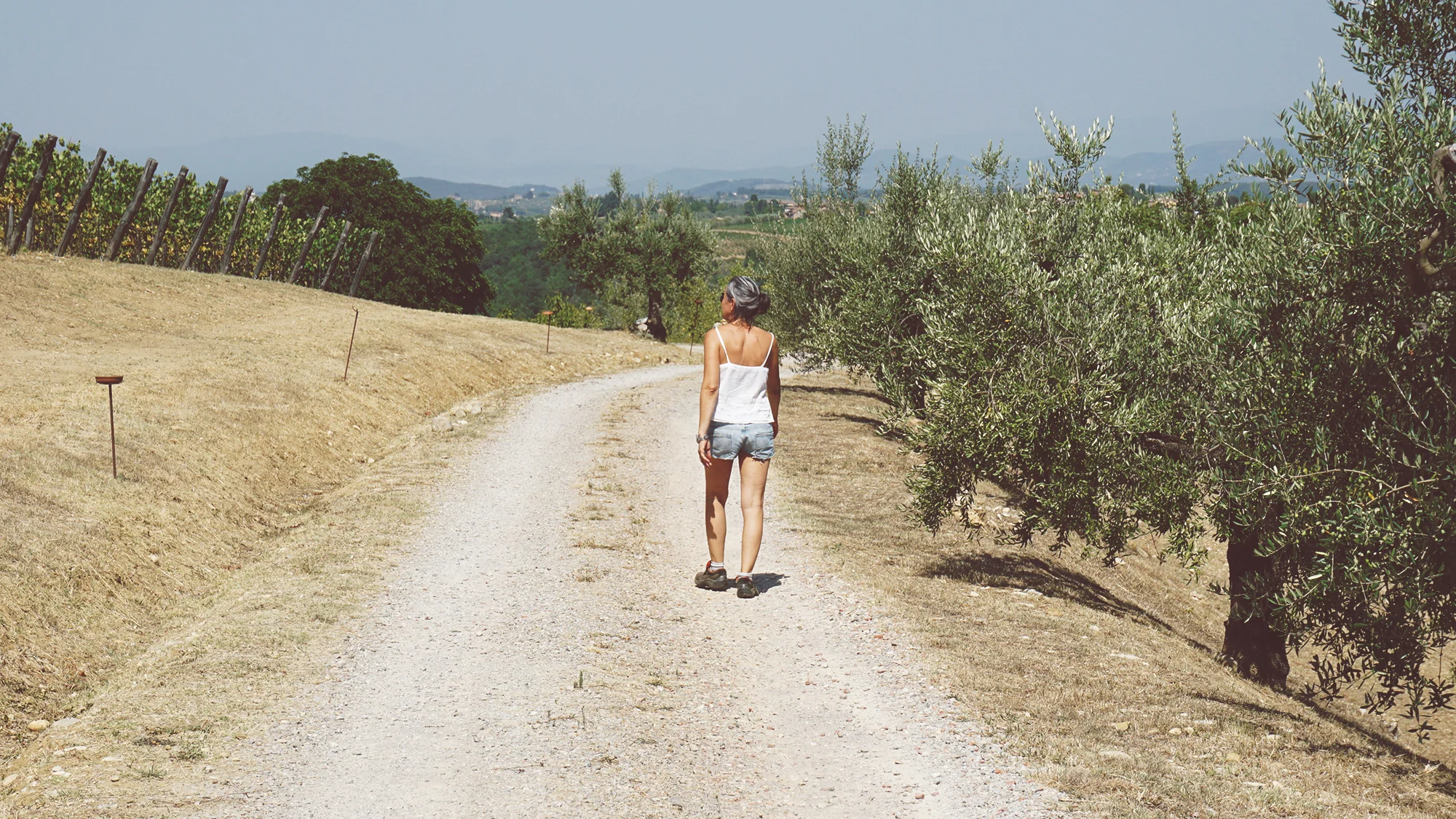 Silvia Nesi, cammina tra gli ulivi e la vigna.
