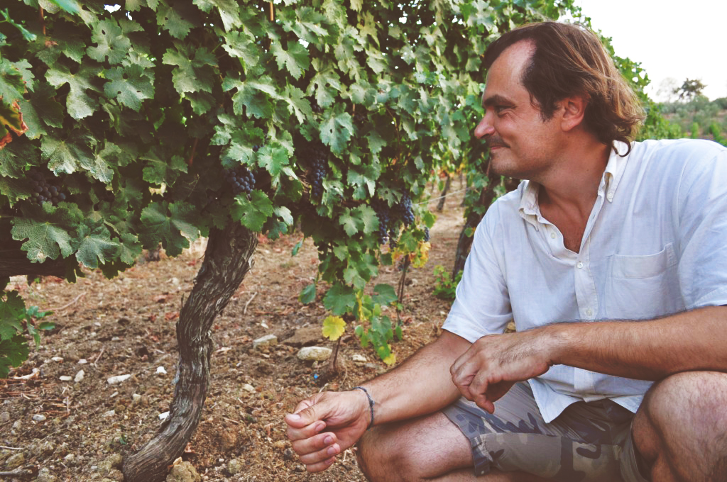 Fabrizio Forconi, nella vigna di Podere dell'Anselmo.