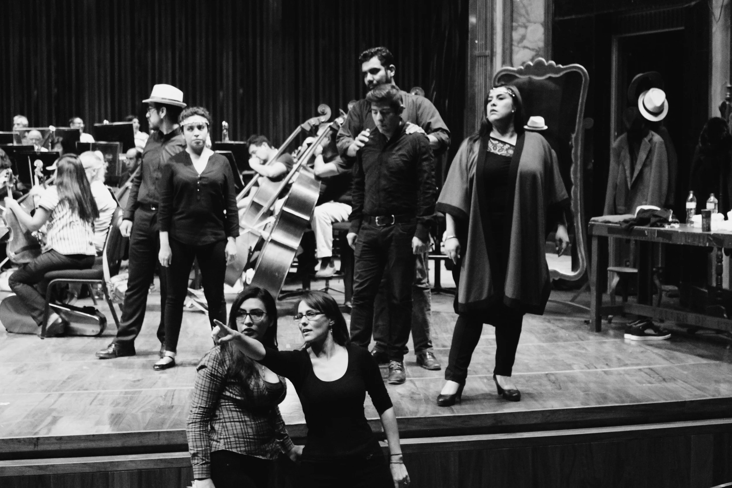 Yuriria Fanjul Director Bellas Artes 2017.jpg