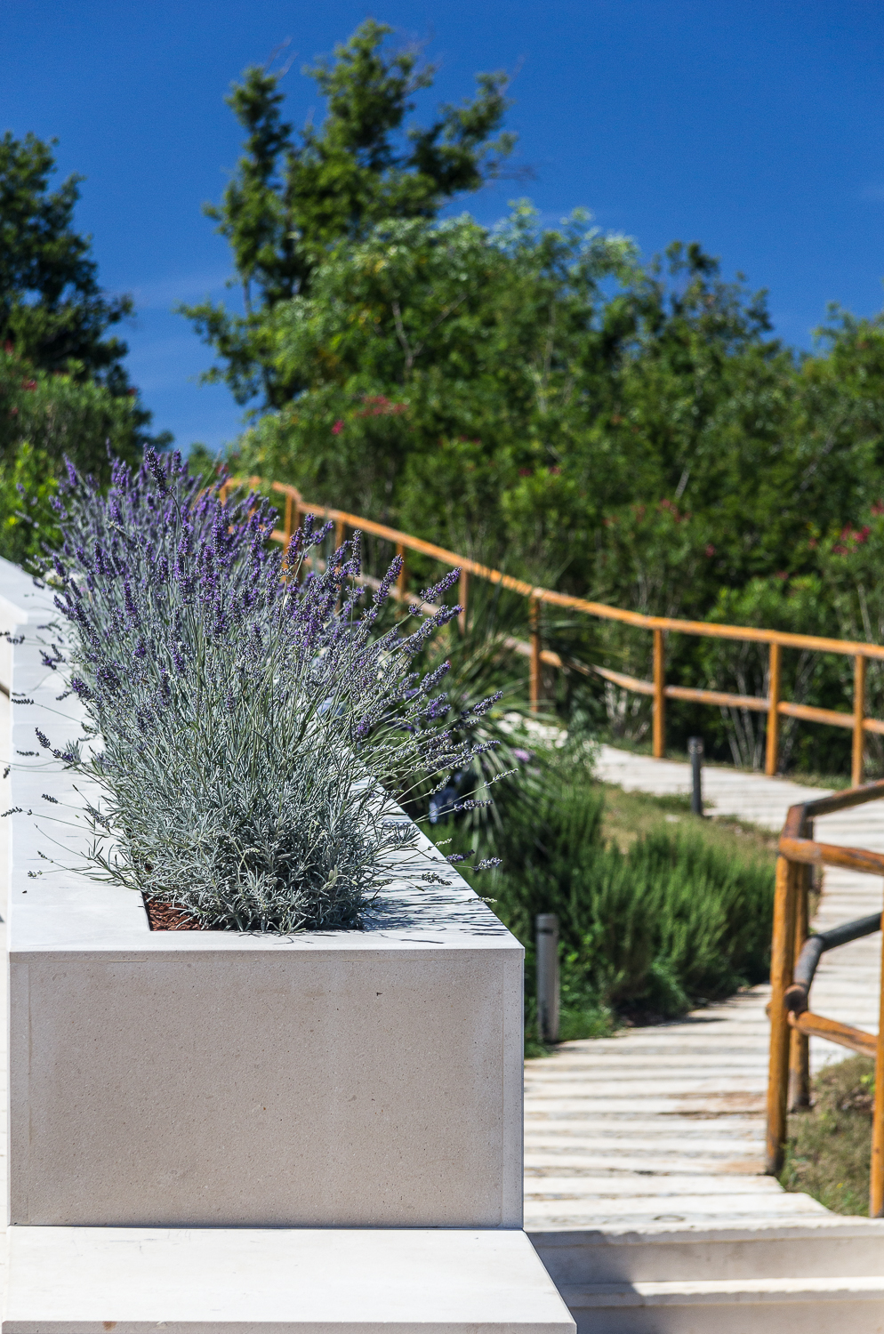 Dukley-Gardens-Budva-Landscaping-07.jpg