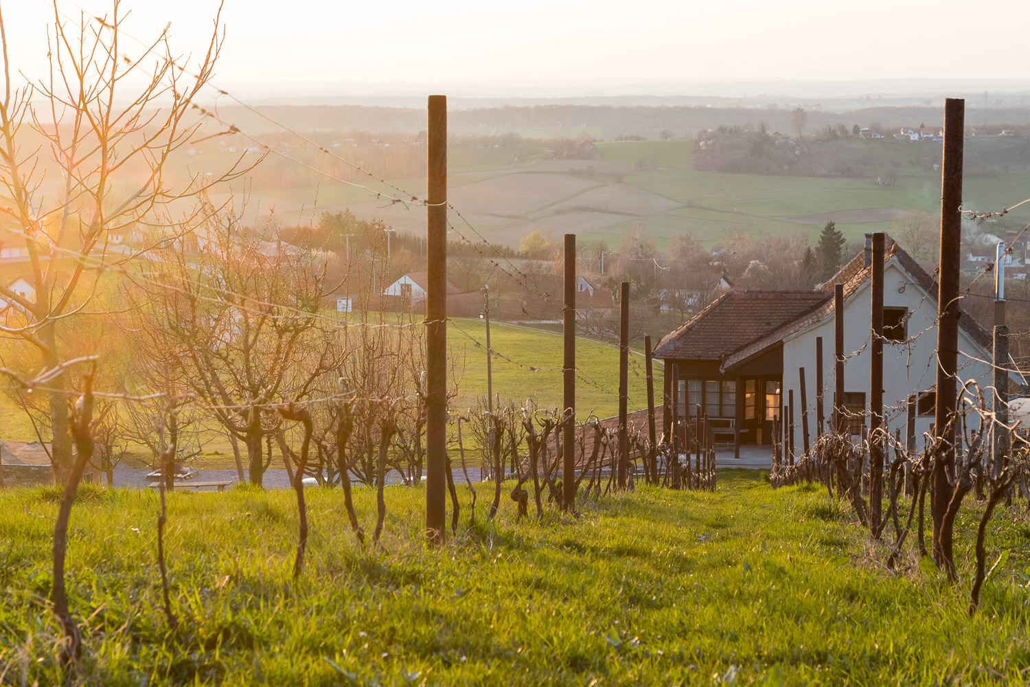 Late winter in Bjelovar county