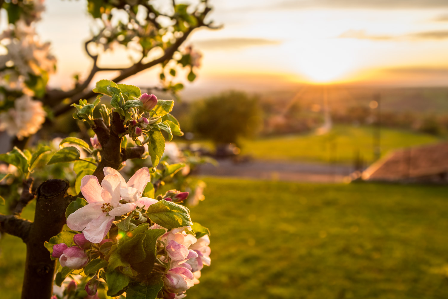 EQ7A7633-Edit.jpg