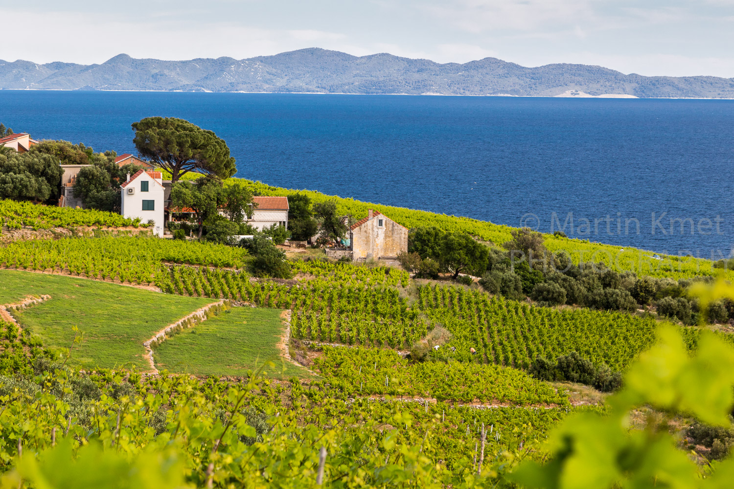 Adriatic spring on the Peljesac peninsula