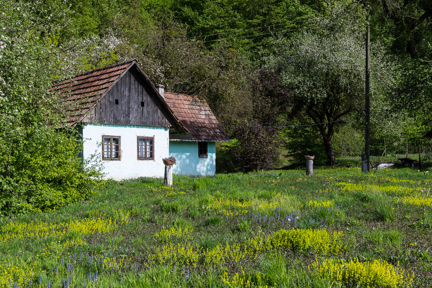 Abandoned house from fairy tale