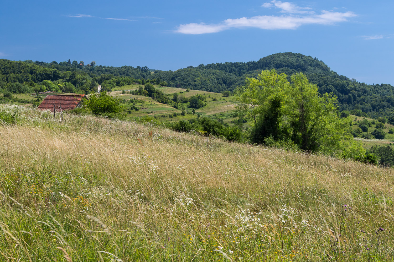 A remote village Jarusje, Zumberak mountains