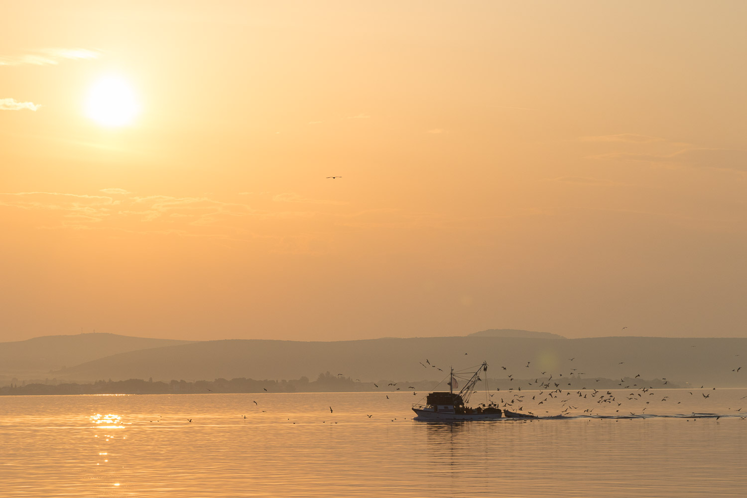 A view from a morning ferry to Zadar