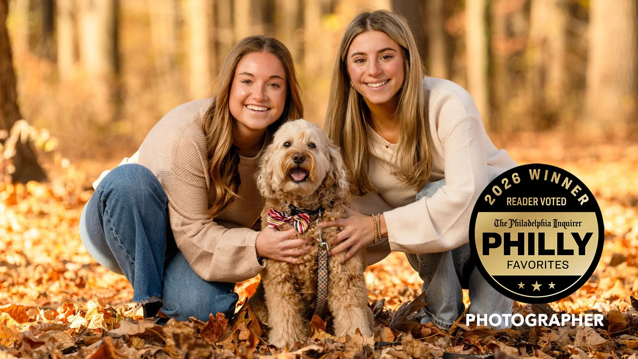 Puppy shoot