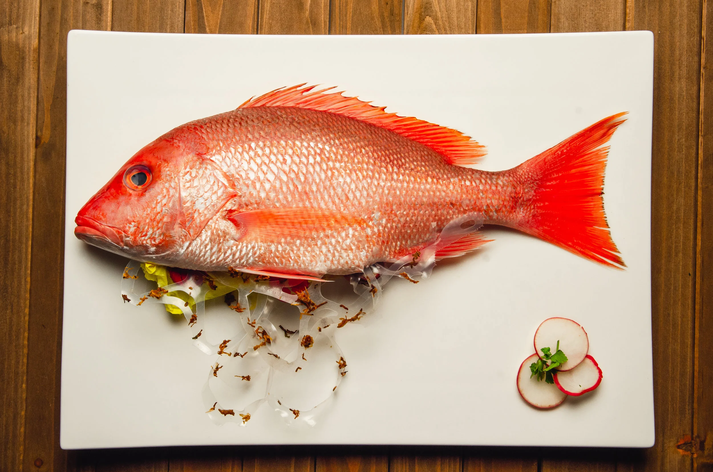 This is a huge problem, especially being a seafood and ocean lover. I decided to take fine art food photography pictures of seafood dishes to bring attention to the issue, but instead the seafood is being replaced by the Ocean trash. The photographs are printed directly on glass, and placed in shadow boxes where common plastic trash bags bring forth the photographs from their white color. Plastic trash bags are dangerous to ocean life because they look just like jellyfish and sea creatures die trying to eat them.