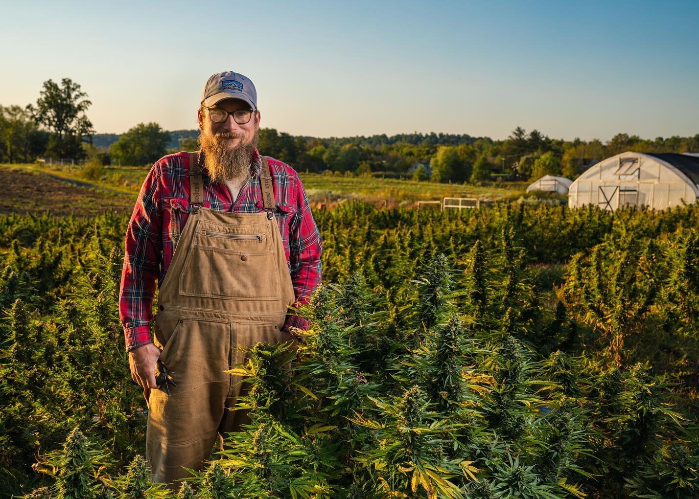 Last week I was onsite with family owned and operated @wildfoxfarm for their annual hemp harvest! All their vegetables and crop are USDA Certified Organic and the owners and their staff are the nicest people to work with. Excited to come back for mor