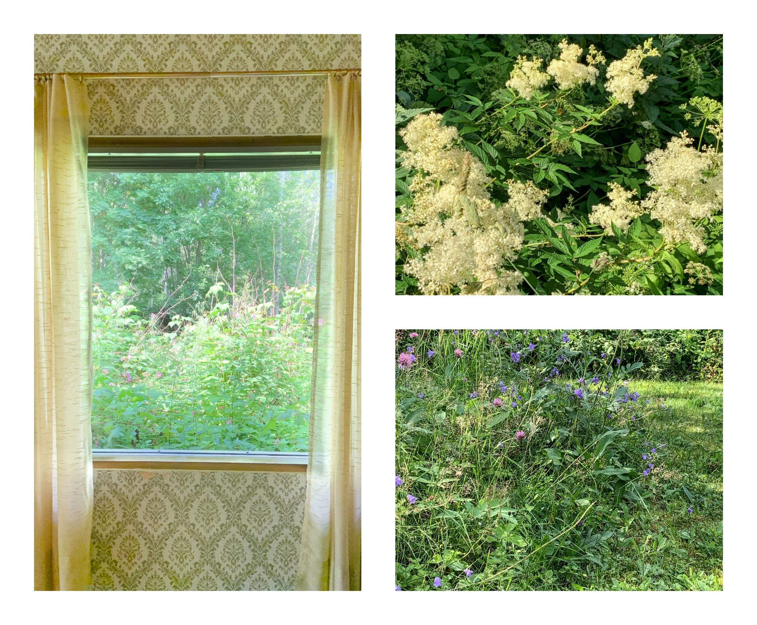 PicMonkey Collage-25.jpg