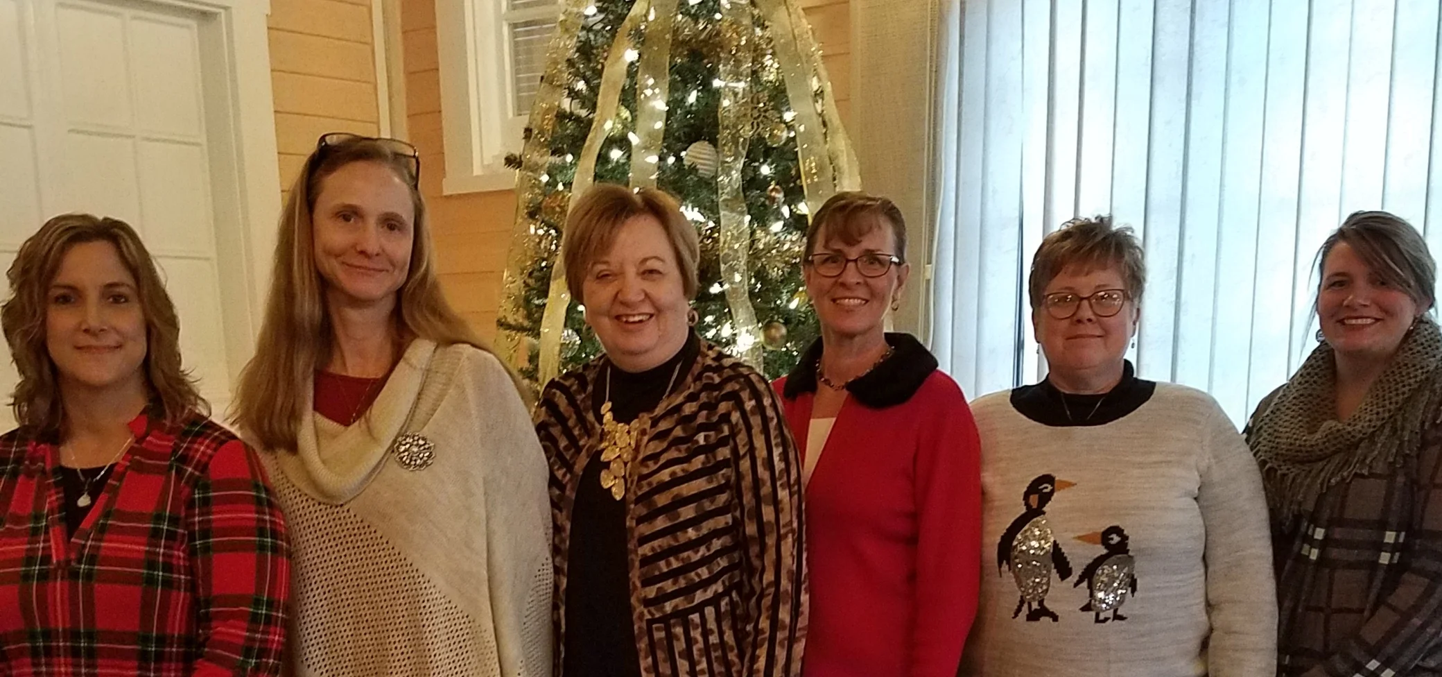Pinckneyville, Senior Life Solutions