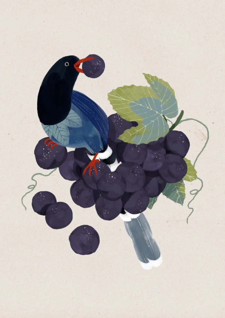 grapes_0-725x1024.jpg