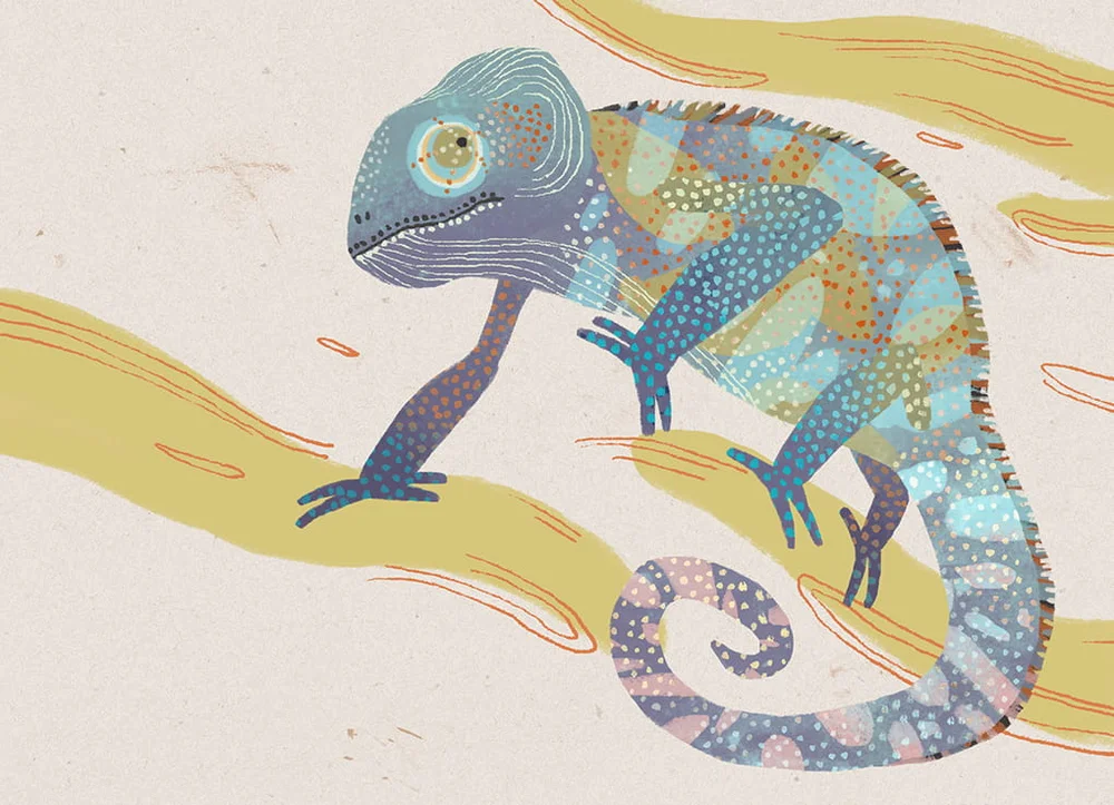 chameleon-min.jpg