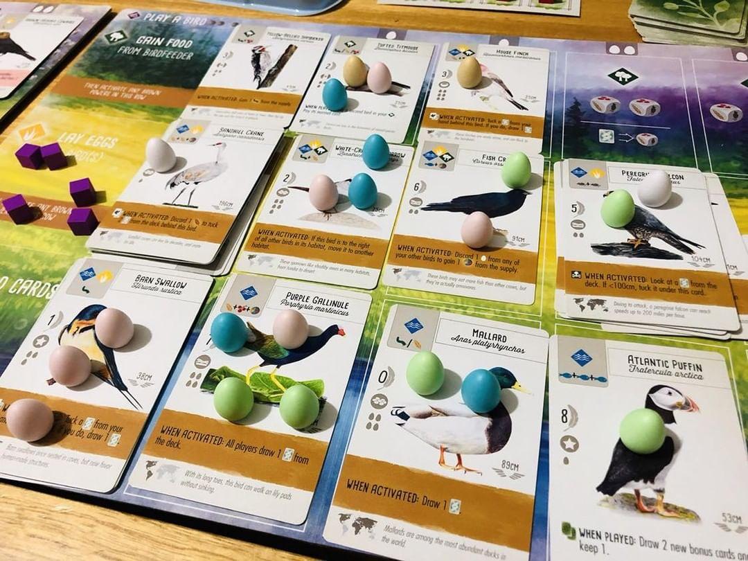 Image of Wingspan board game - courtesy of Instagram @ellalovesboardgames