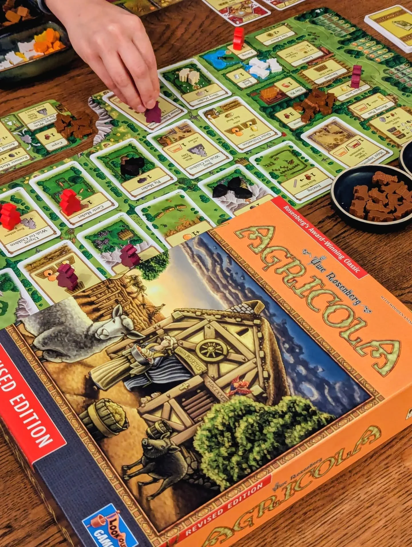 Agricola isn't really a game you ever feel like you're thriving in. The farmers in Agricola have a hard life, grinding out enough food per harvest or they'll need to beg to survive. There's no shame in struggling to get by, just keep grinding away, n