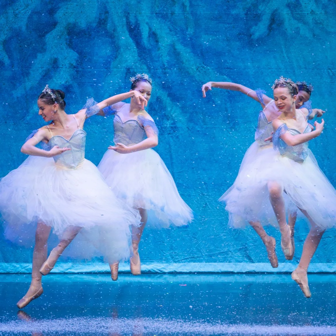 Performance Cover art 3e.jpg