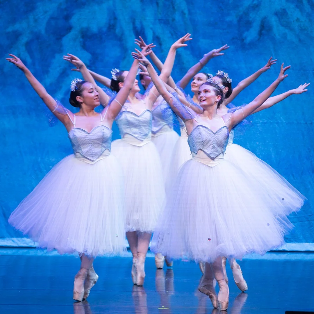 Performance Cover art 2c.jpg