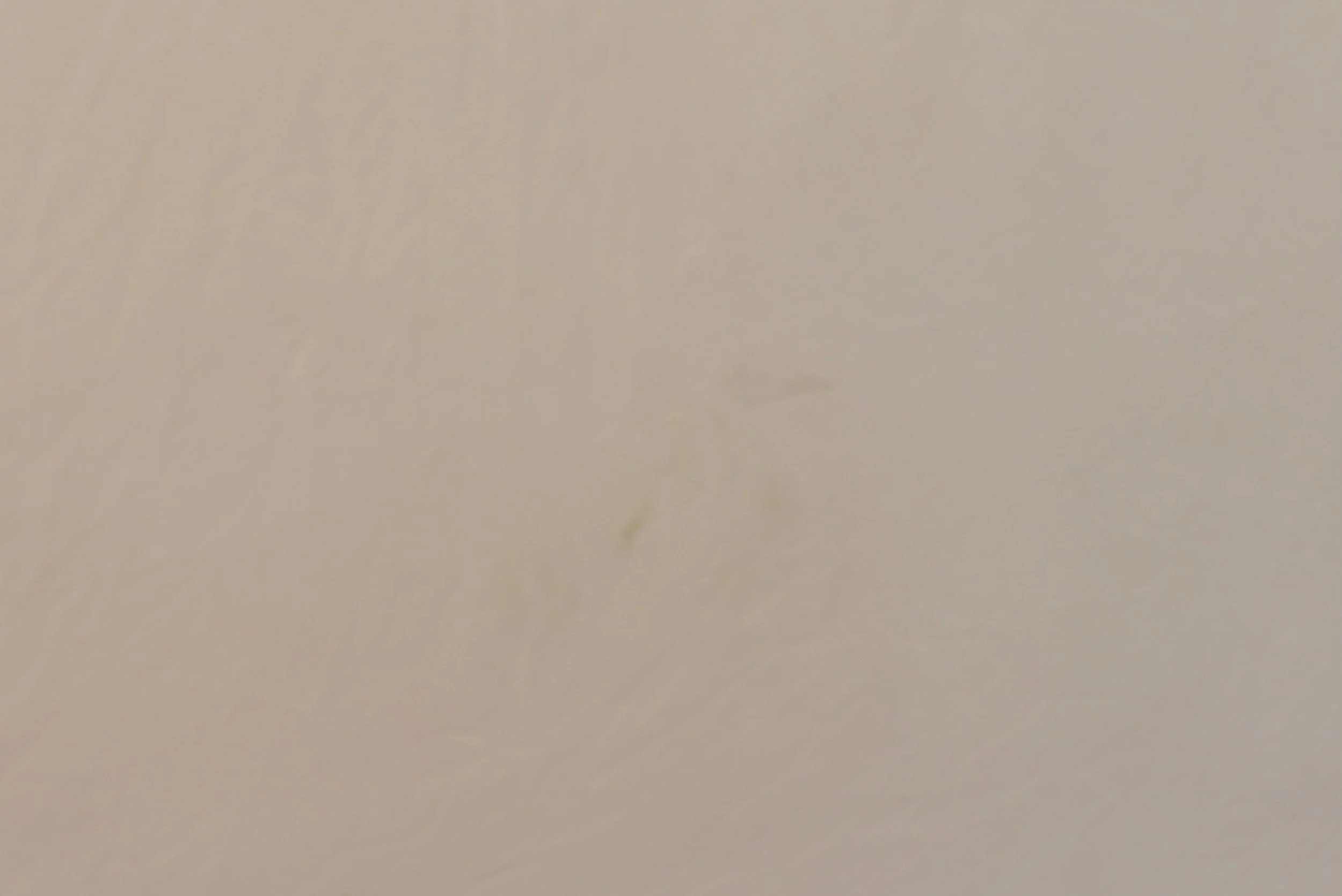 DSC_0370.jpeg
