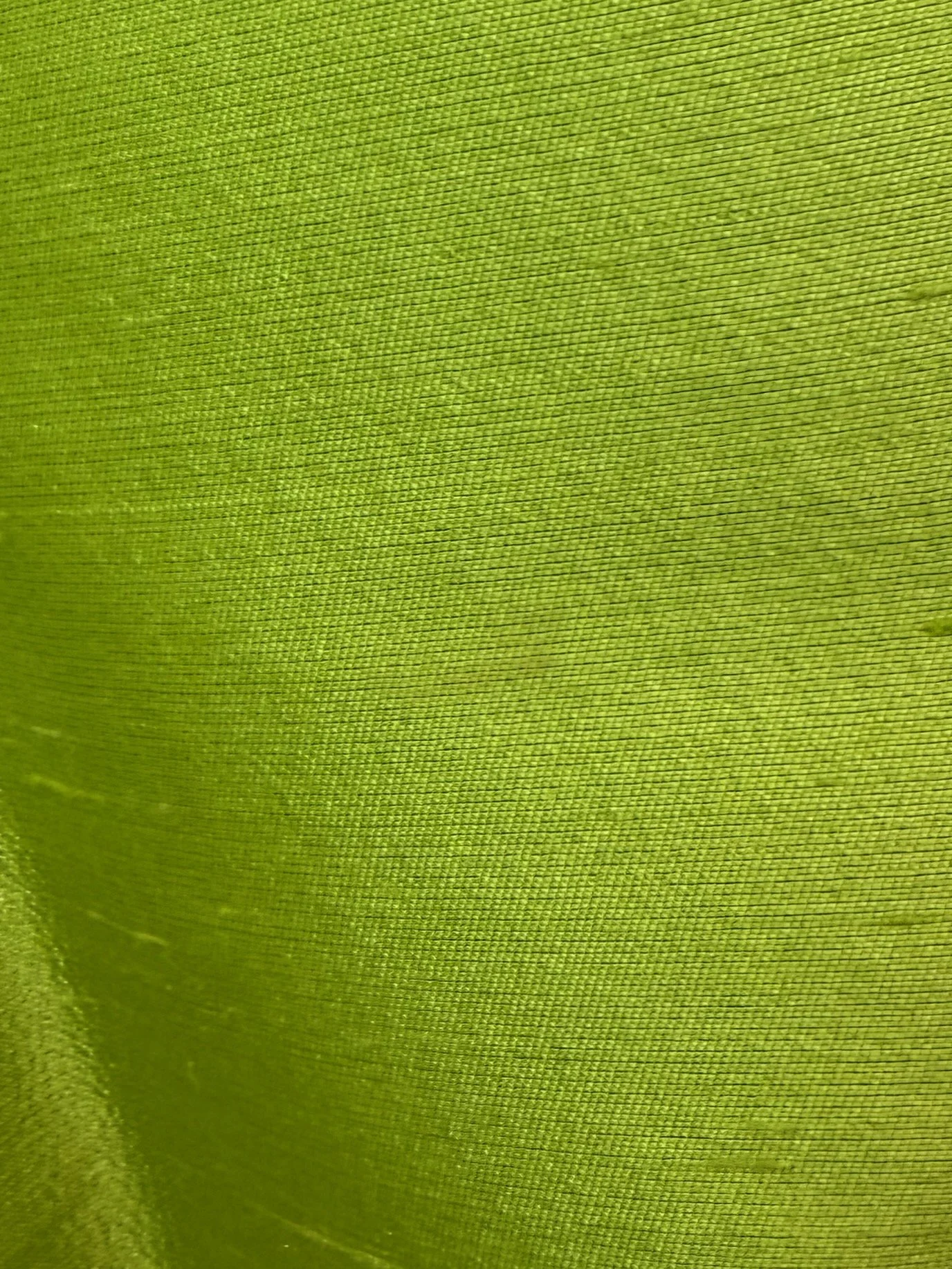 IMG_7398.jpeg