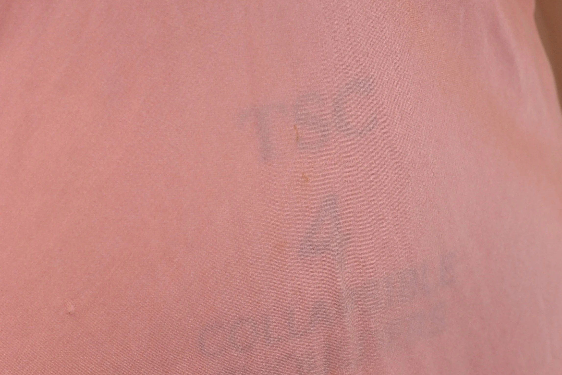DSC_0100.jpeg