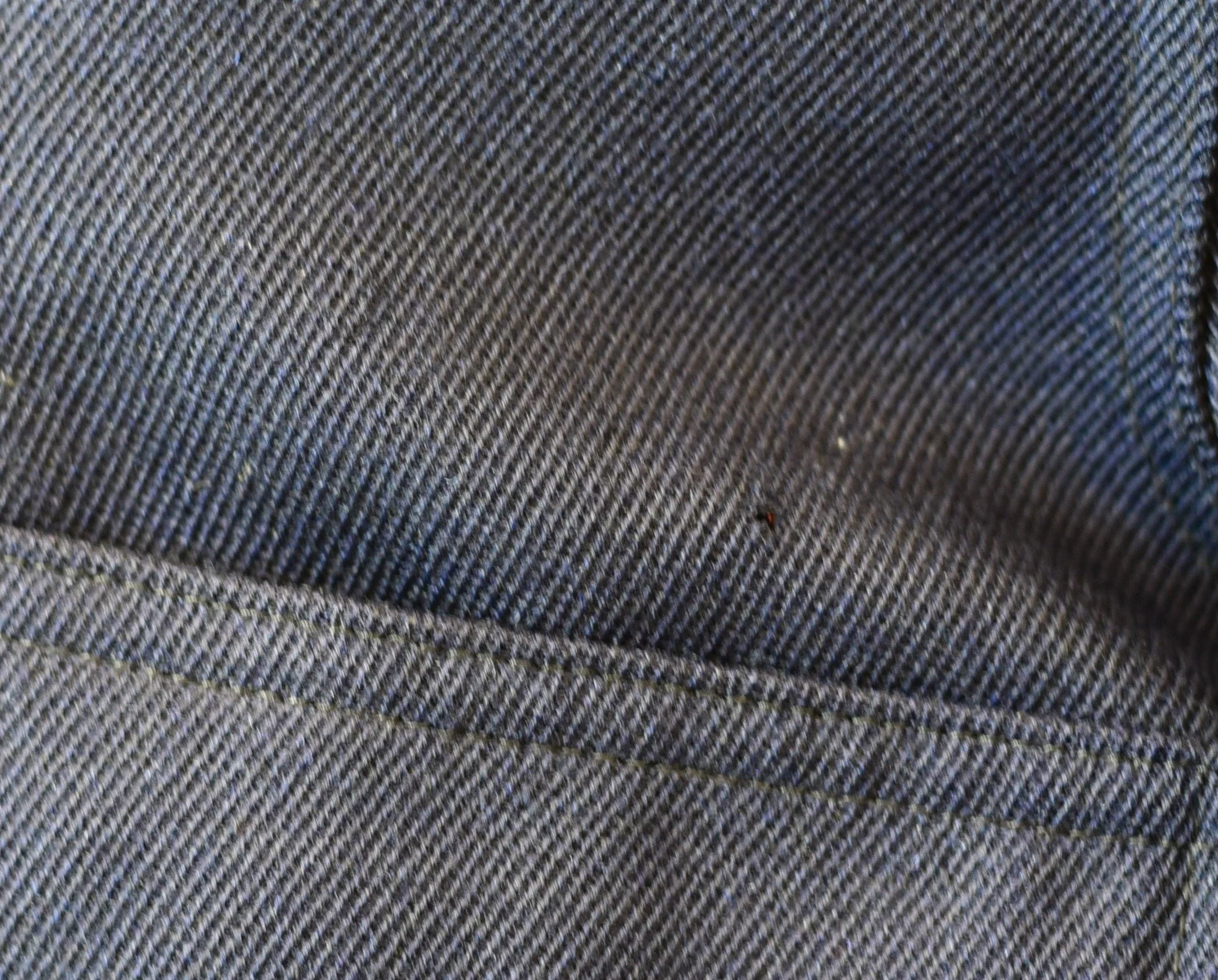DSC_0048.jpeg