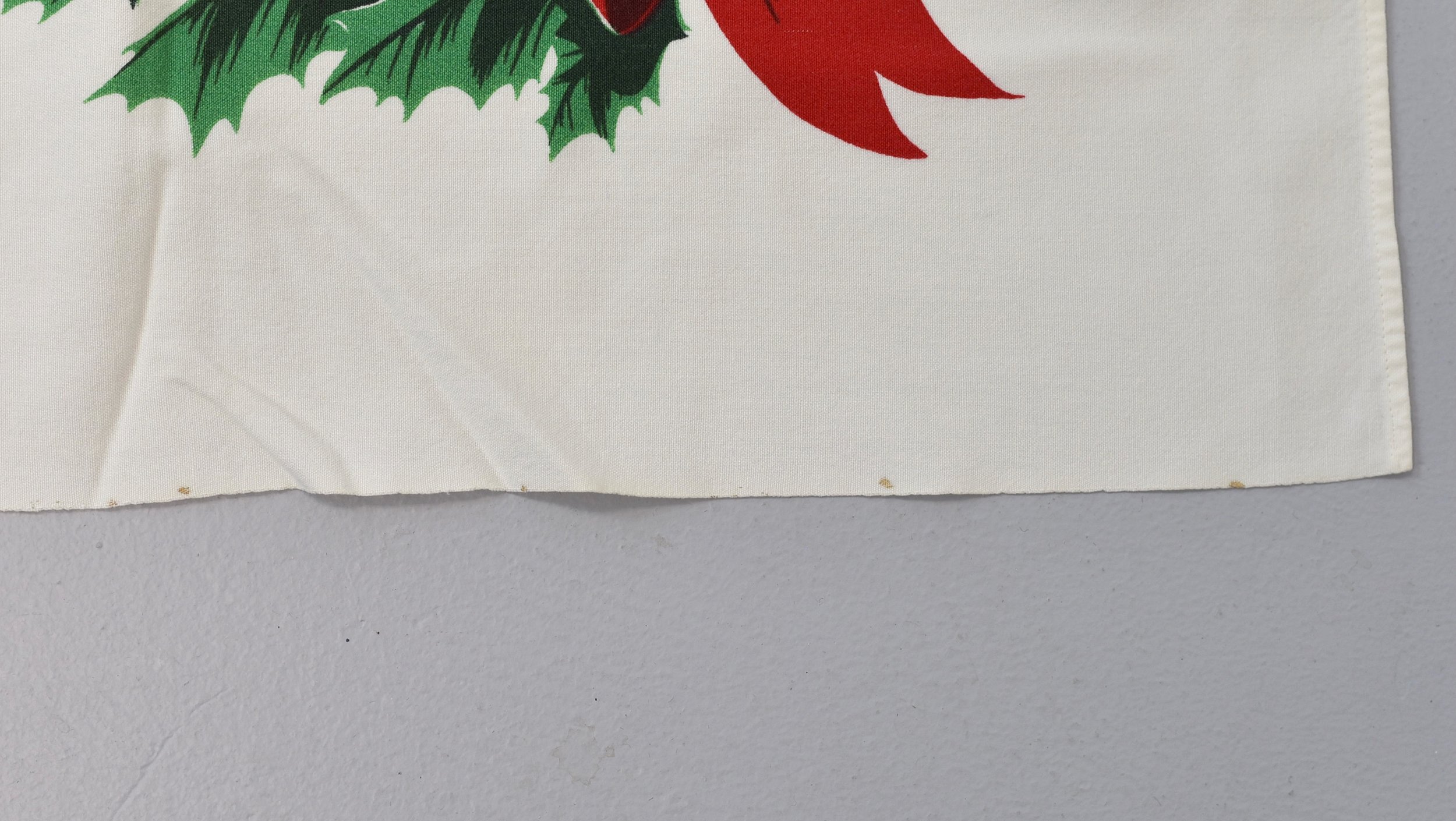 DSC_0238.jpeg