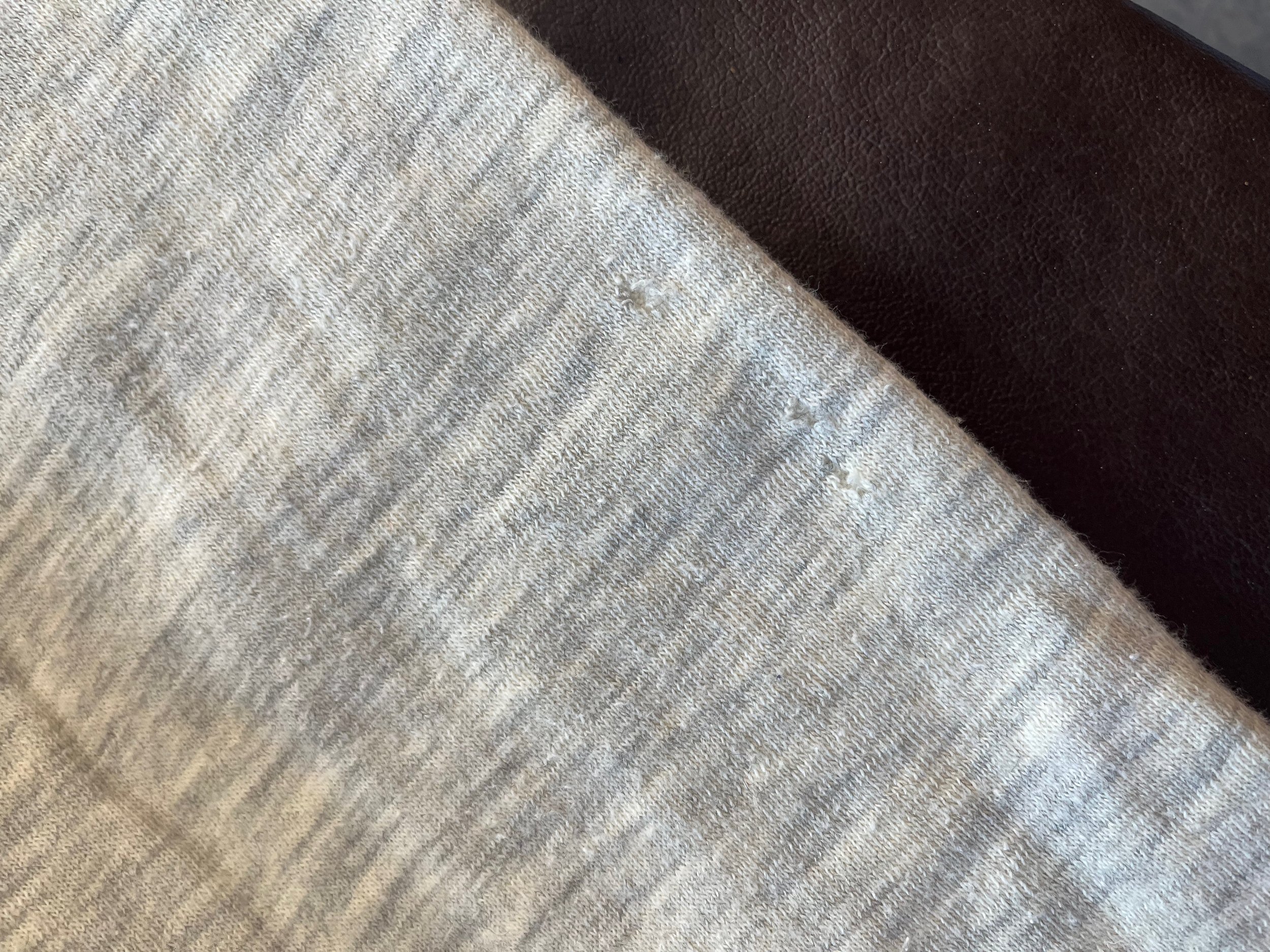 IMG_7053.jpeg