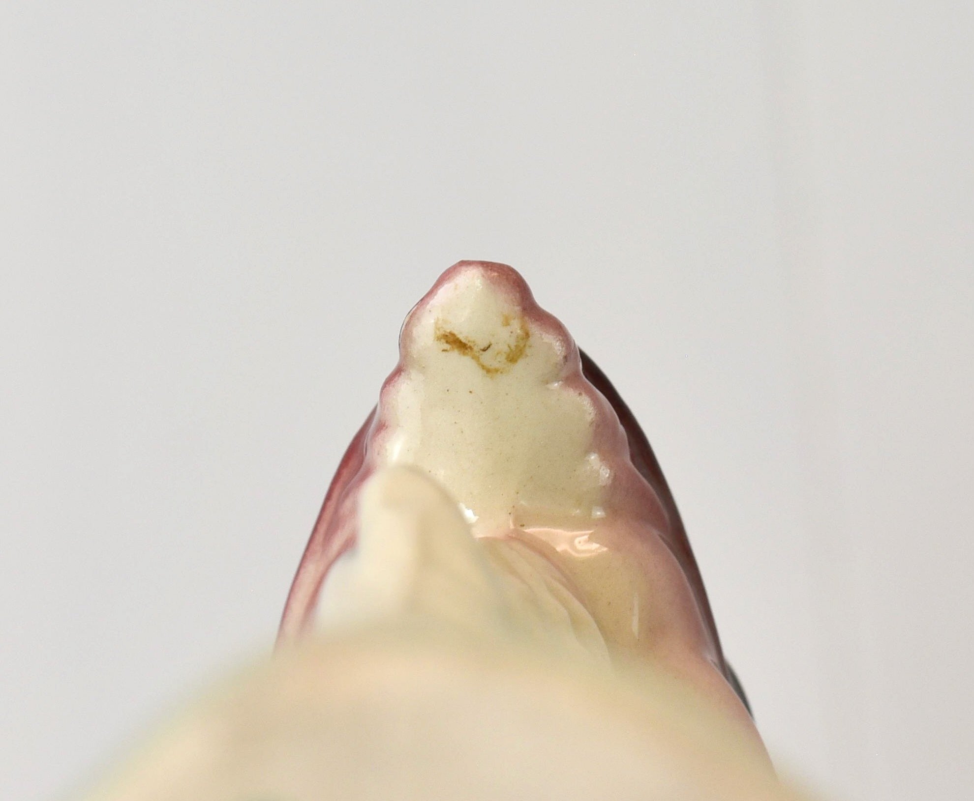 DSC_0593.jpeg