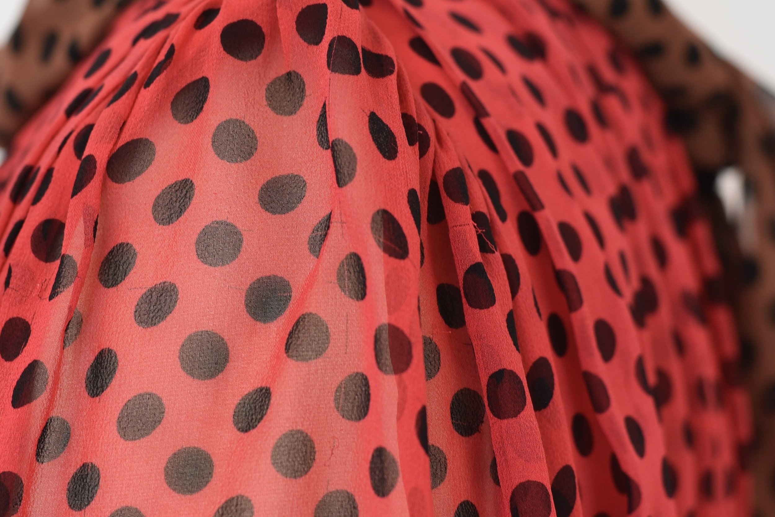 DSC_0201.jpeg